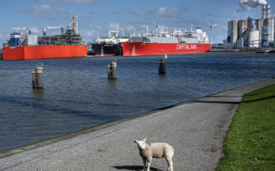 Gasreuzen pendelen naar de Eemshaven. ‘Zo’n enorm project lukt alleen als iedereen meewerkt’